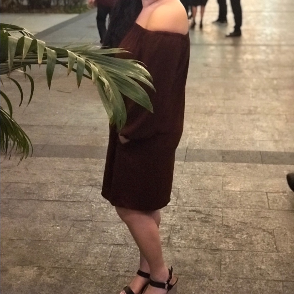 Aritzia Wilfred Silk Dress